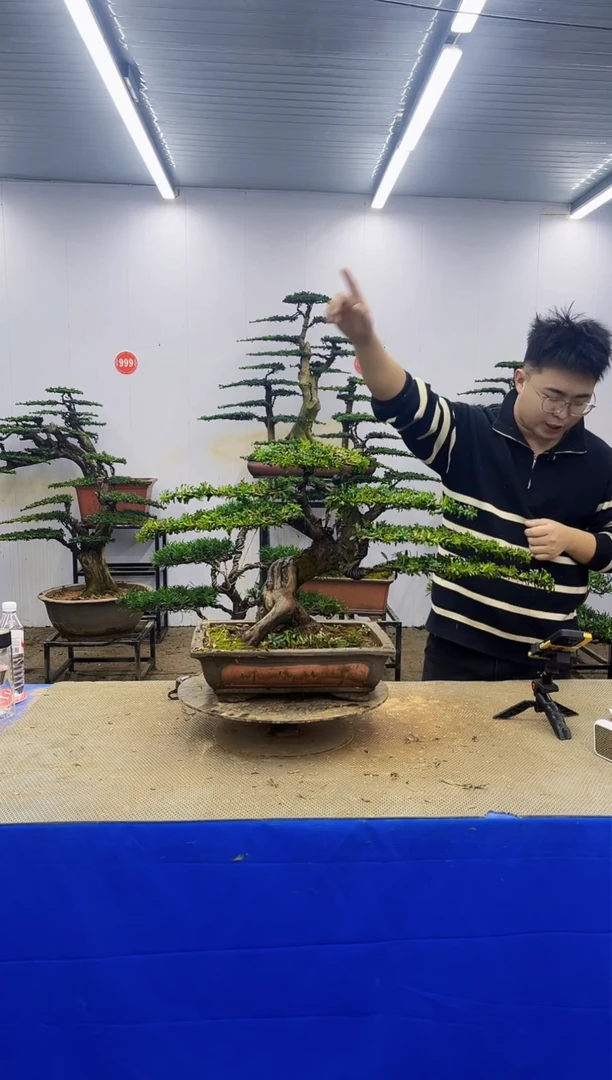 完全开放一物一拍，所见即所得