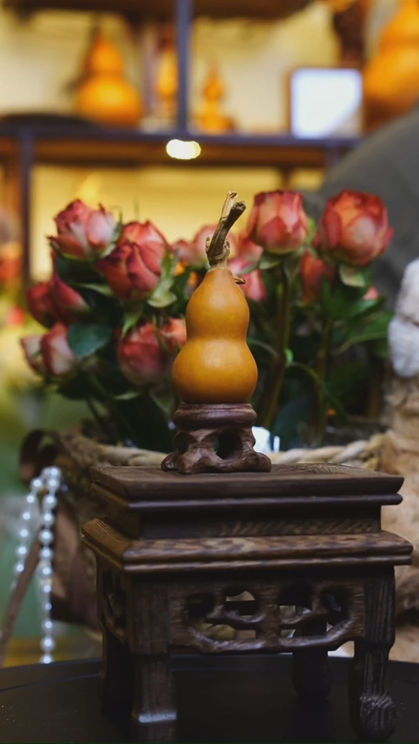 【闪购商品】琦妹妹十八岁小钢弹2