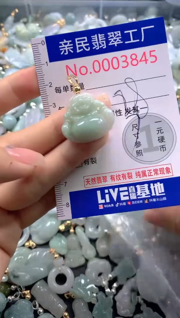 颈饰未镶嵌翡翠3845