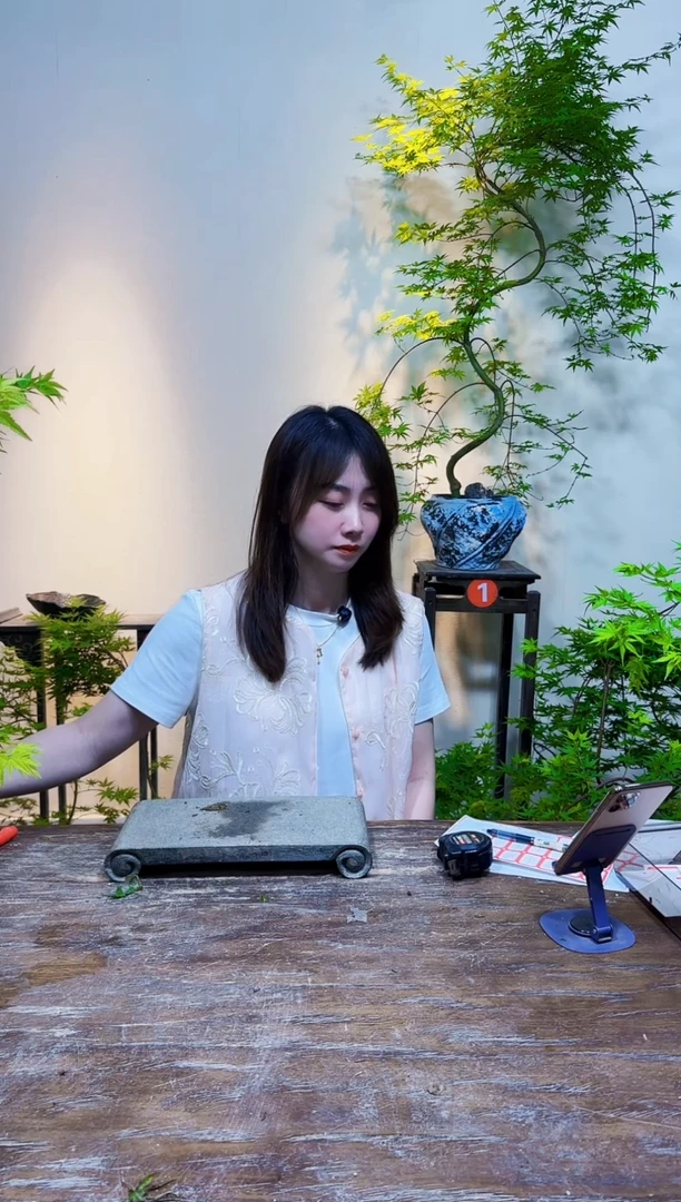 流泉枫流泉枫流泉枫