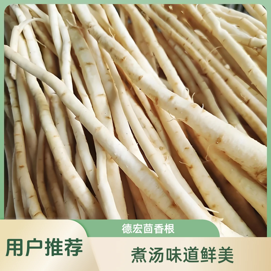 云南新鲜高山茴香根