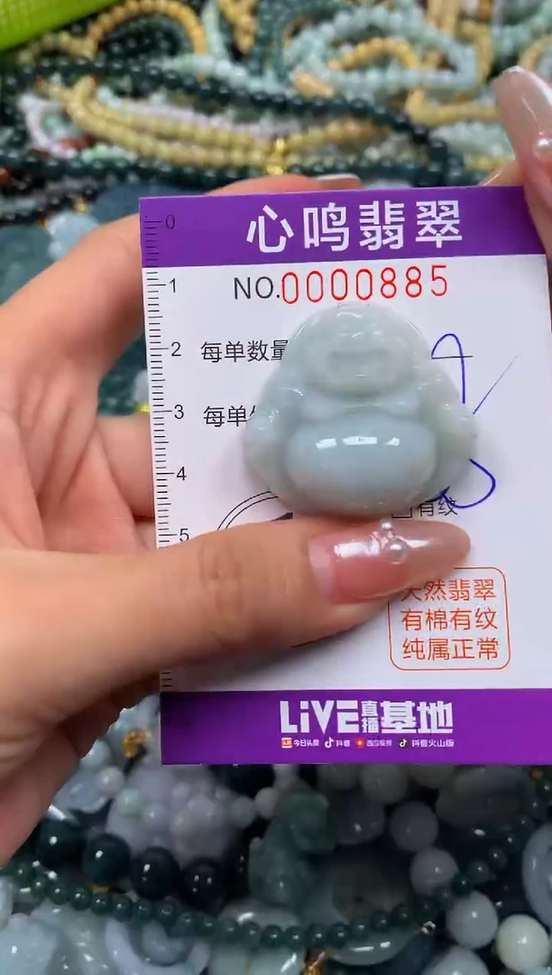 颈饰未镶嵌翡翠闪购00885