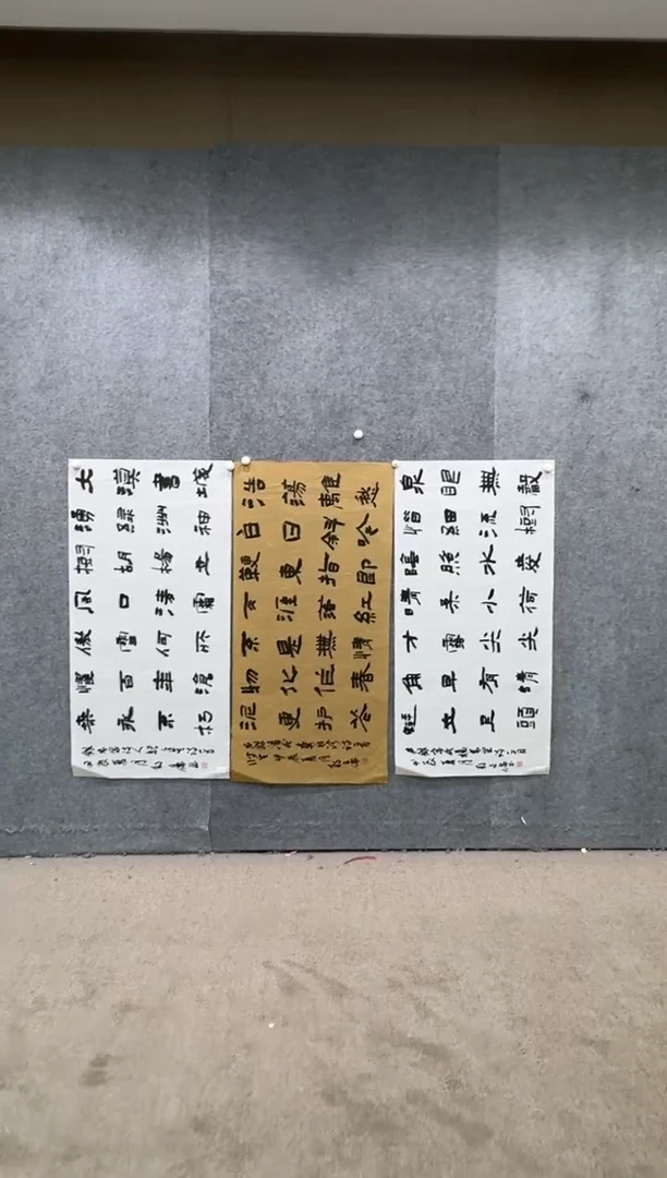 【闪购商品】书法pmw不二轩旗舰店书法AWR18