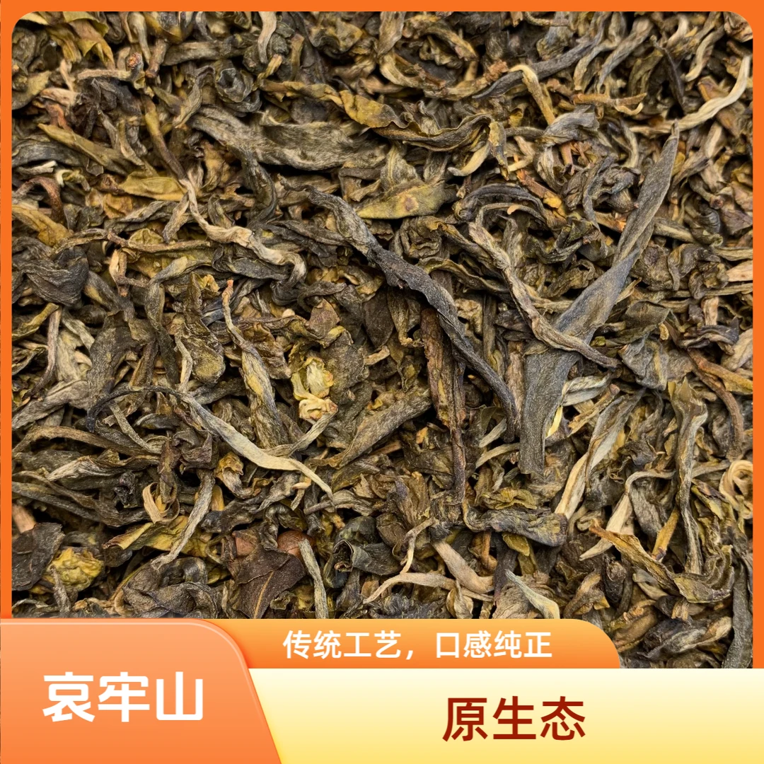 哀牢山【古韵碎金】散茶 古树茶森林茶2023年春