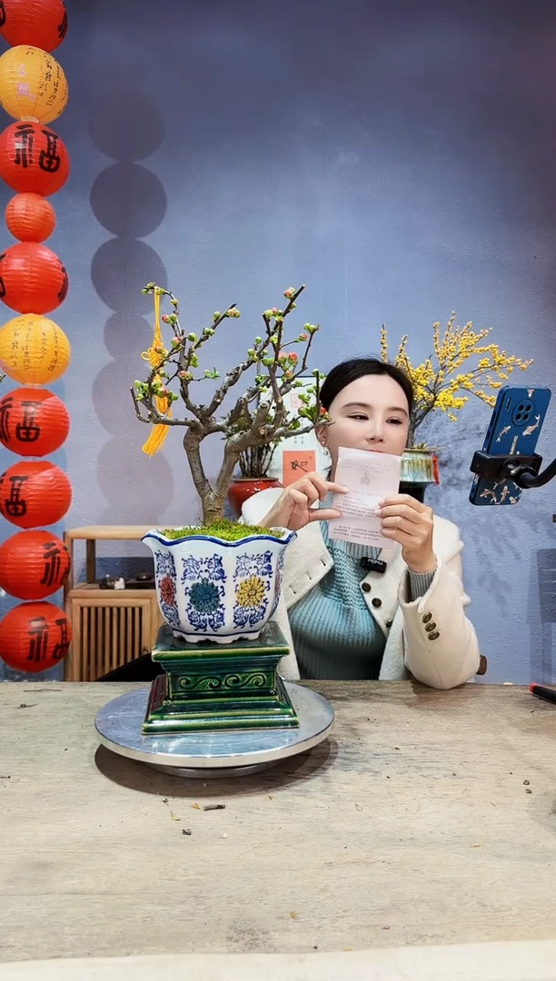 【闪购商品】盆景海棠 长寿冠