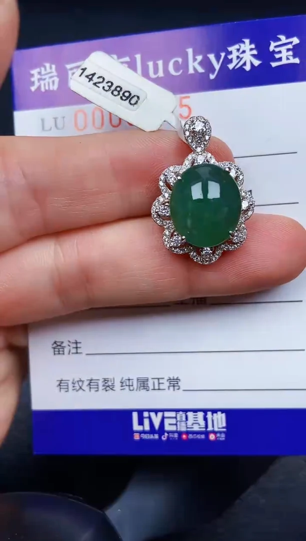 翡翠银S925镶嵌颈饰5565