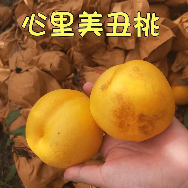 【顺丰/京东快递】于胖子 丑油桃 风味更足 4.5-5斤装