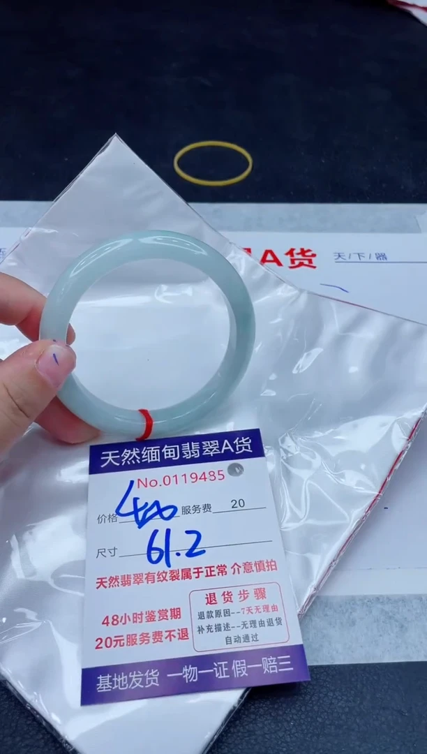 未镶嵌手镯翡翠400.0000