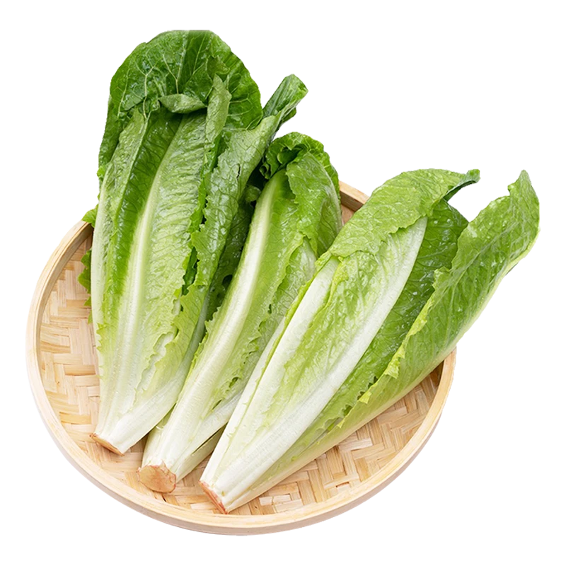 有机罗马生菜300g