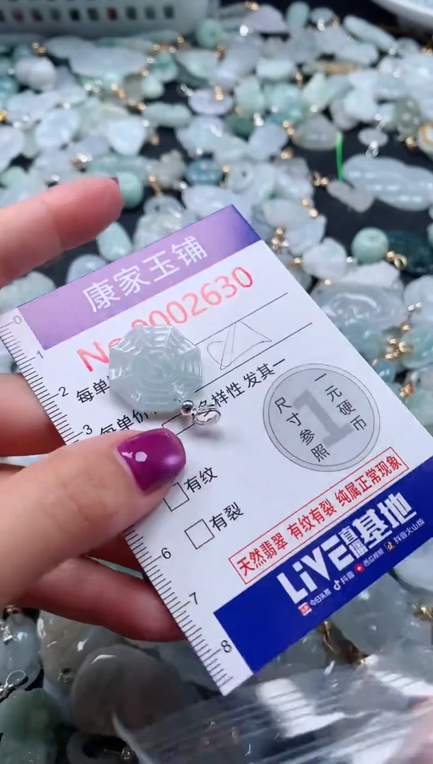颈饰未镶嵌翡翠2630