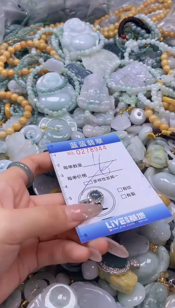 翡翠未镶嵌颈饰闪购0278944多样性发其一