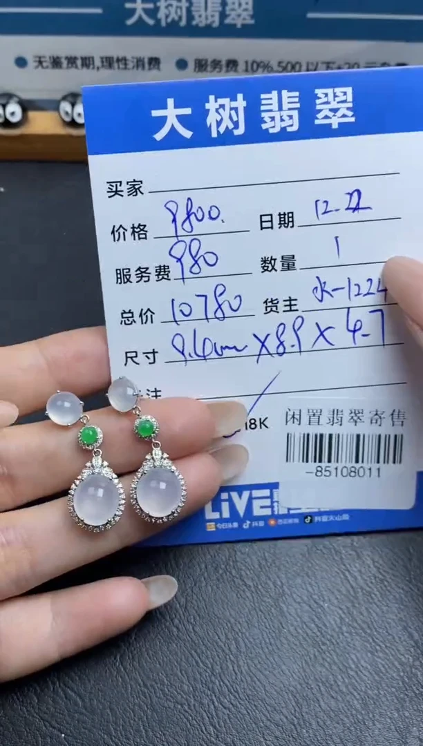 颈饰18K金镶嵌翡翠耳饰多人-85108011