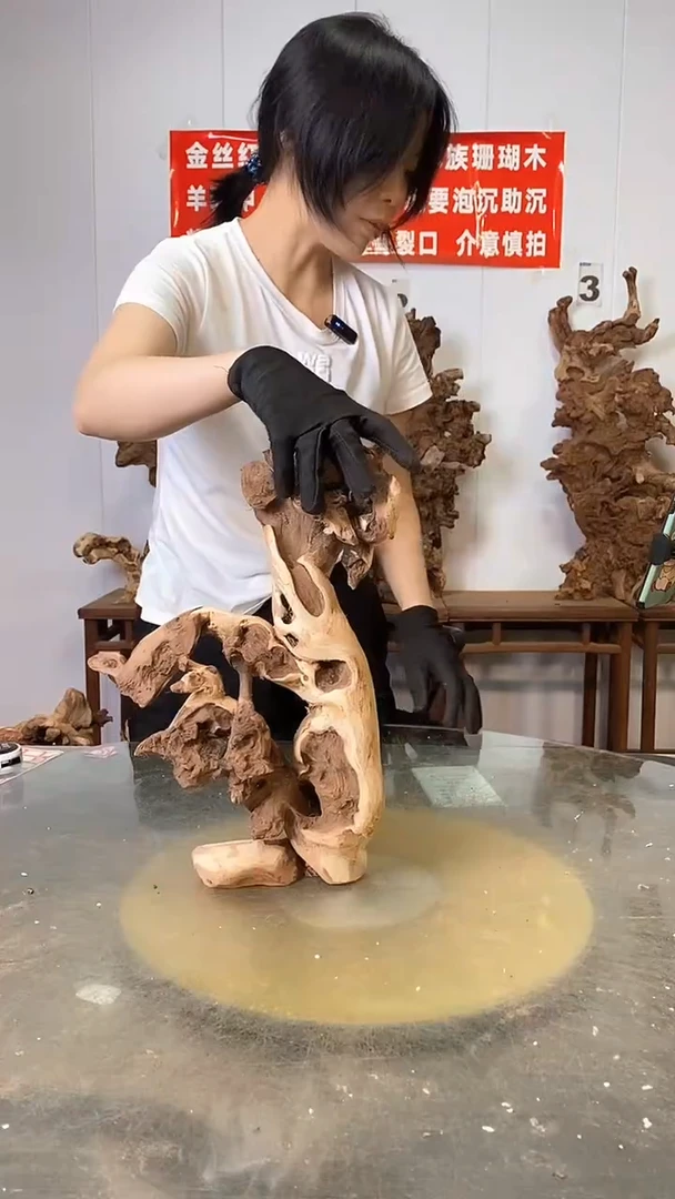 香榧木金丝红木  羊蹄甲
