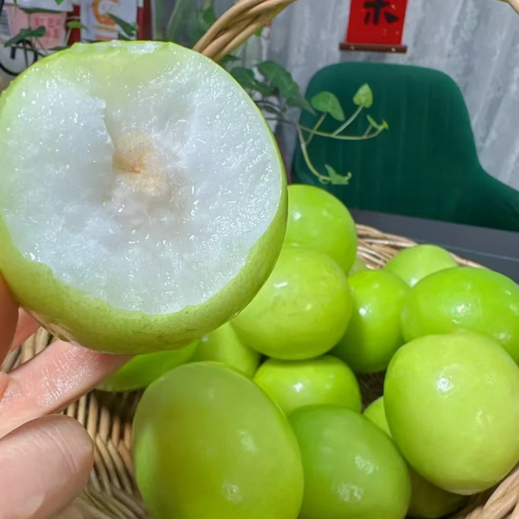 【3斤】青枣3斤装