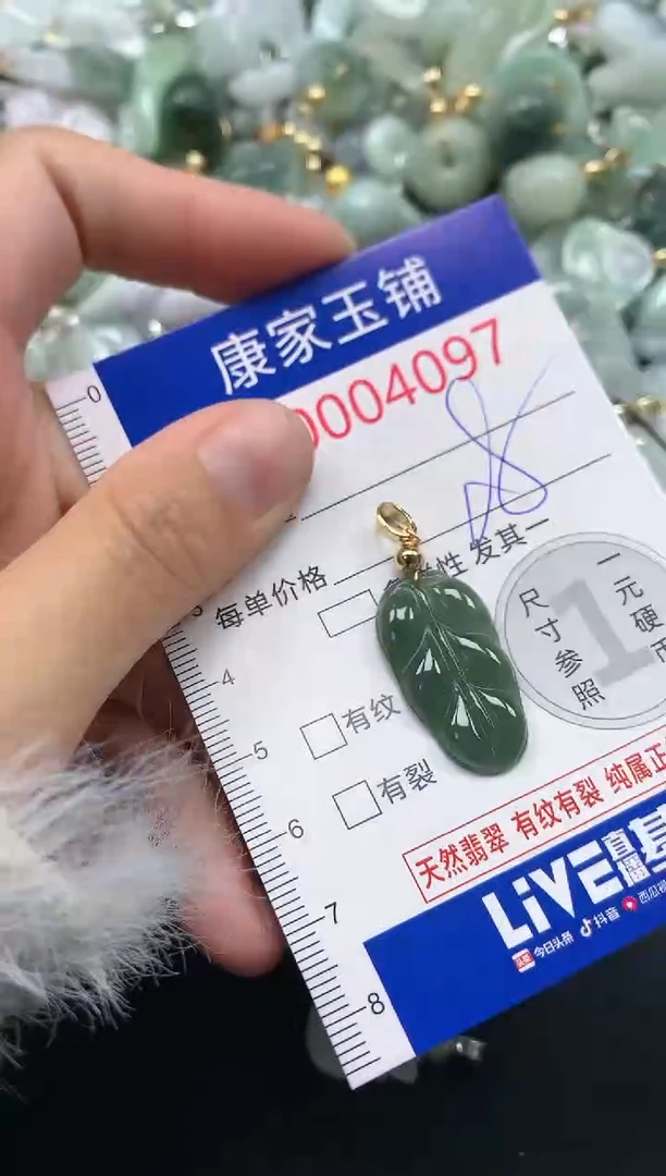 颈饰未镶嵌翡翠4097