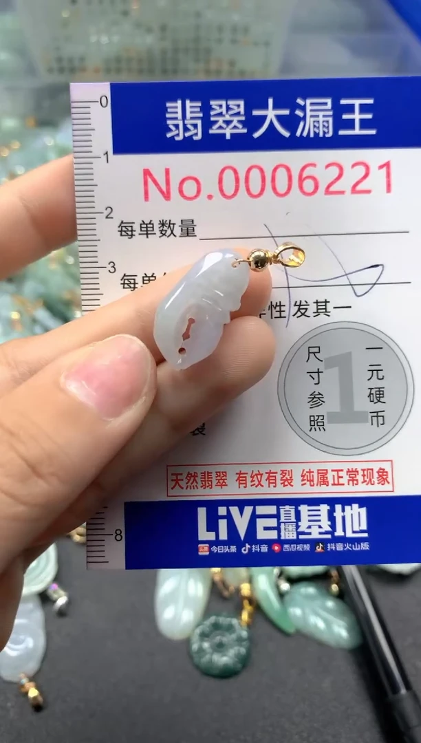 颈饰未镶嵌翡翠6221