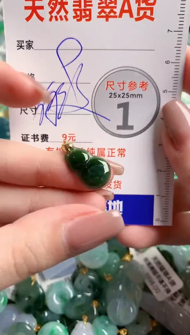 翡翠未镶嵌颈饰14002661