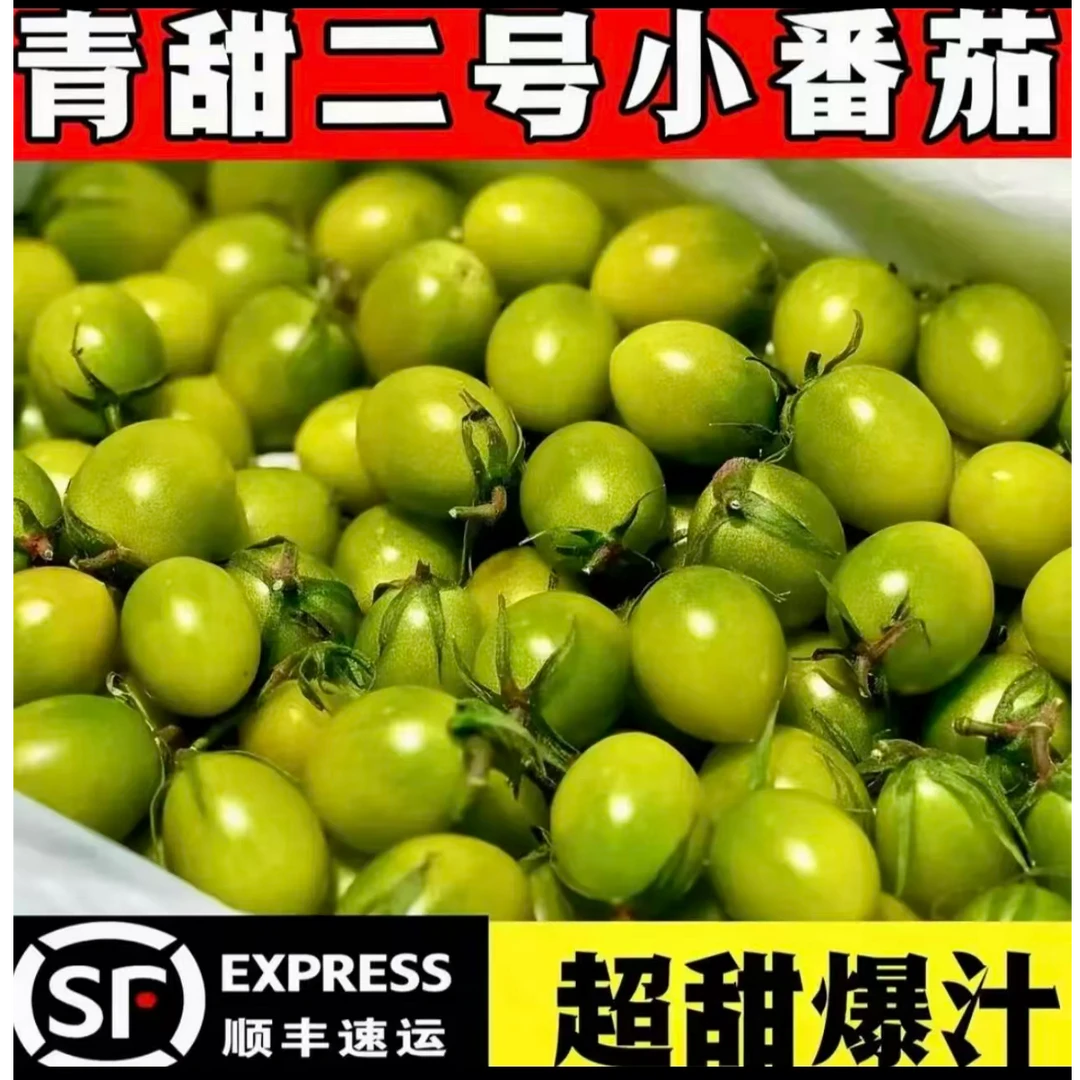 精品青甜2号绿色小番茄爆汁超甜！山东产地直发顺丰包邮