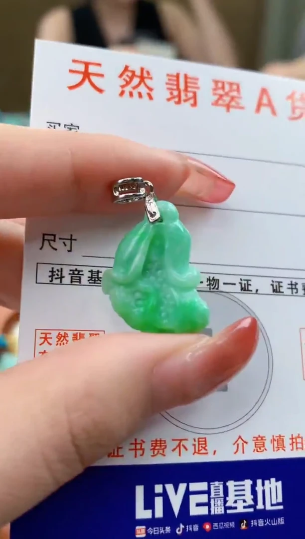颈饰未镶嵌翡翠天然A货翡翠挂件