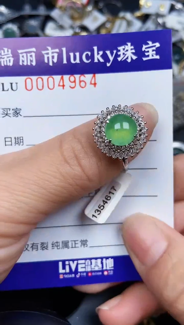 翡翠银S925镶嵌颈饰4964