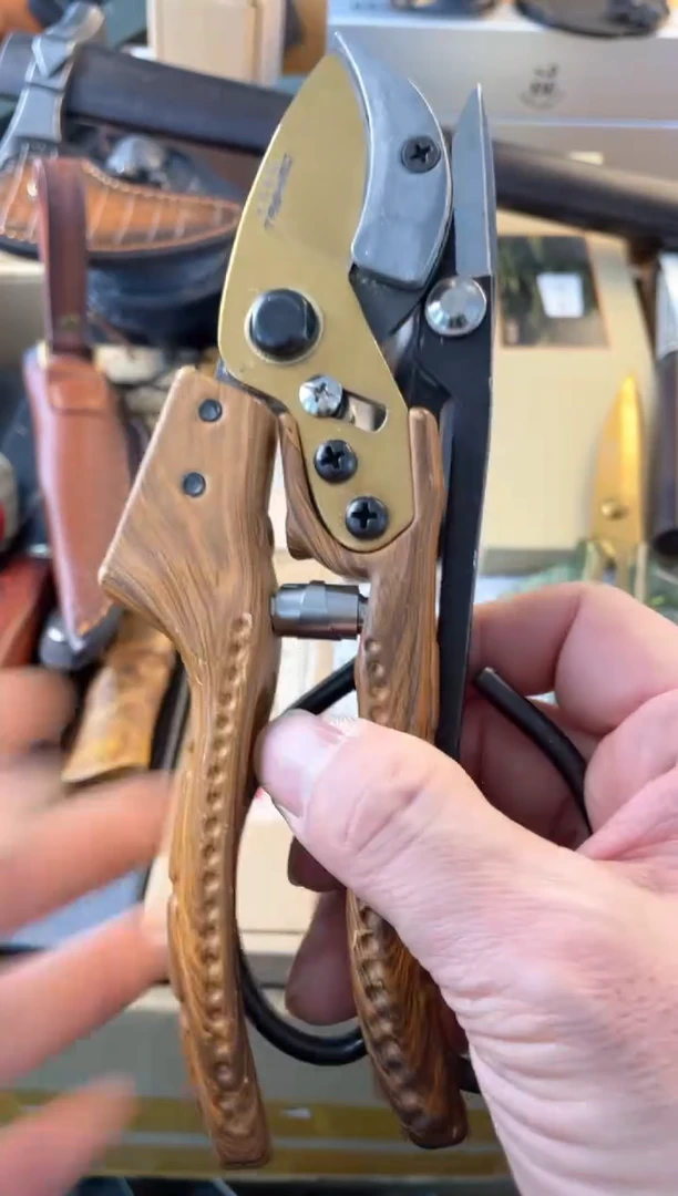 【闪购商品】瓷片2jian郑正杂货品质保证