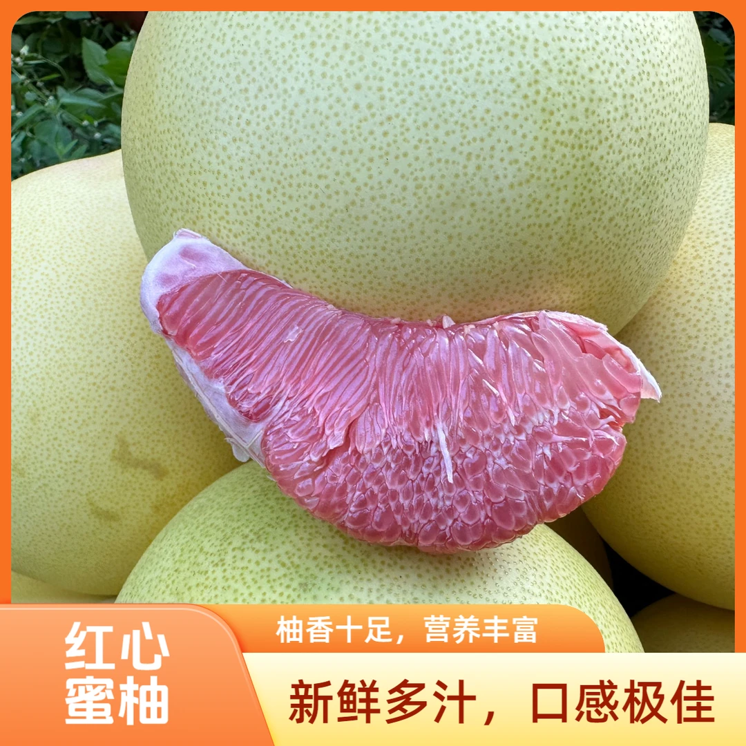 福建平和老树红肉蜜柚新鲜采摘酸甜多汁