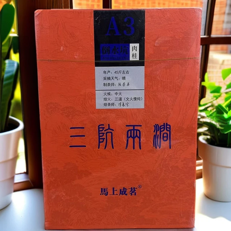 【馬上成茗】  倒水坑肉桂 A3  8.8g*六泡