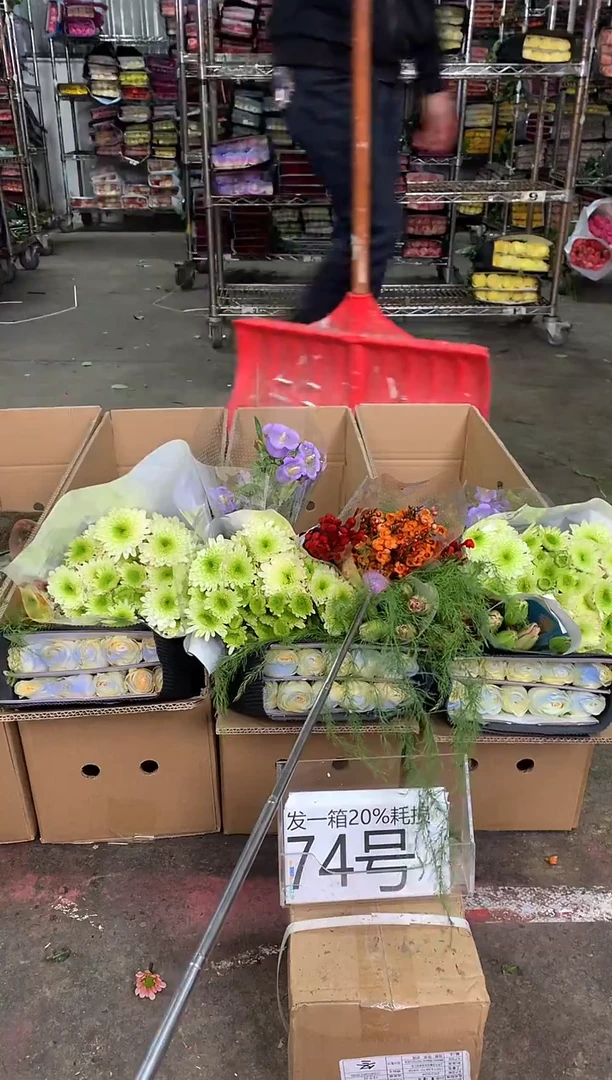 74号♥中通含20%耗损发一箱鲜花