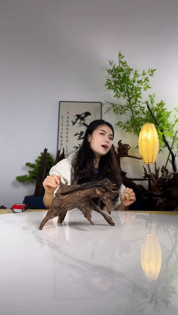 Q**.拍这个定向编号2
