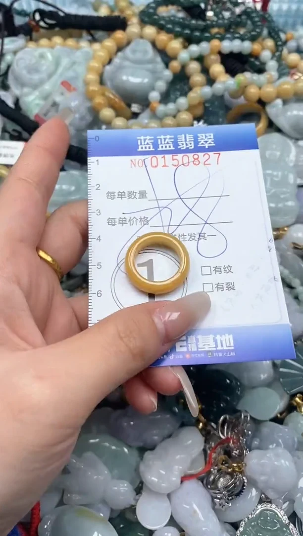 【闪购商品】翡翠颈饰未镶嵌闪购0150827多样性发其一