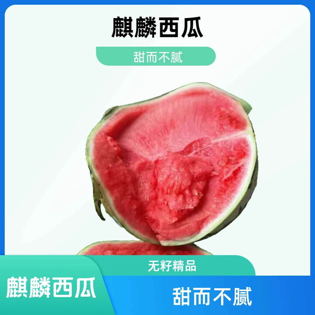 精品无籽麒麟西瓜5KG西瓜同城配