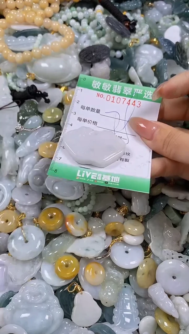 【闪购商品】翡翠颈饰未镶嵌闪购0107443