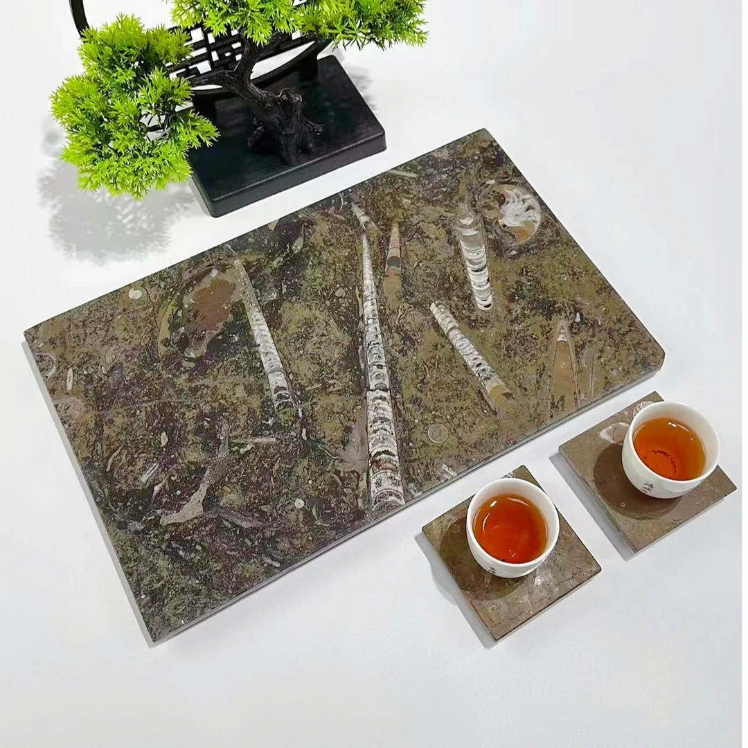 【沧海侏罗化石】奢石干泡茶盘高端中式长方形家用轻奢简约茶具配套