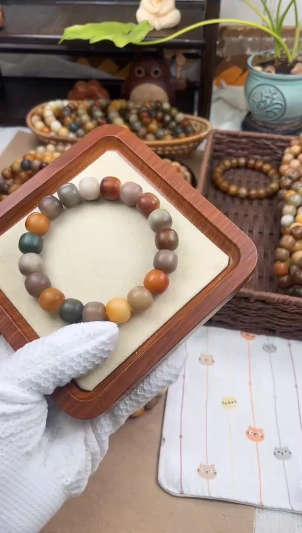 手串菩提根/象牙果a169 卡14 干磨万圣家族孔一般