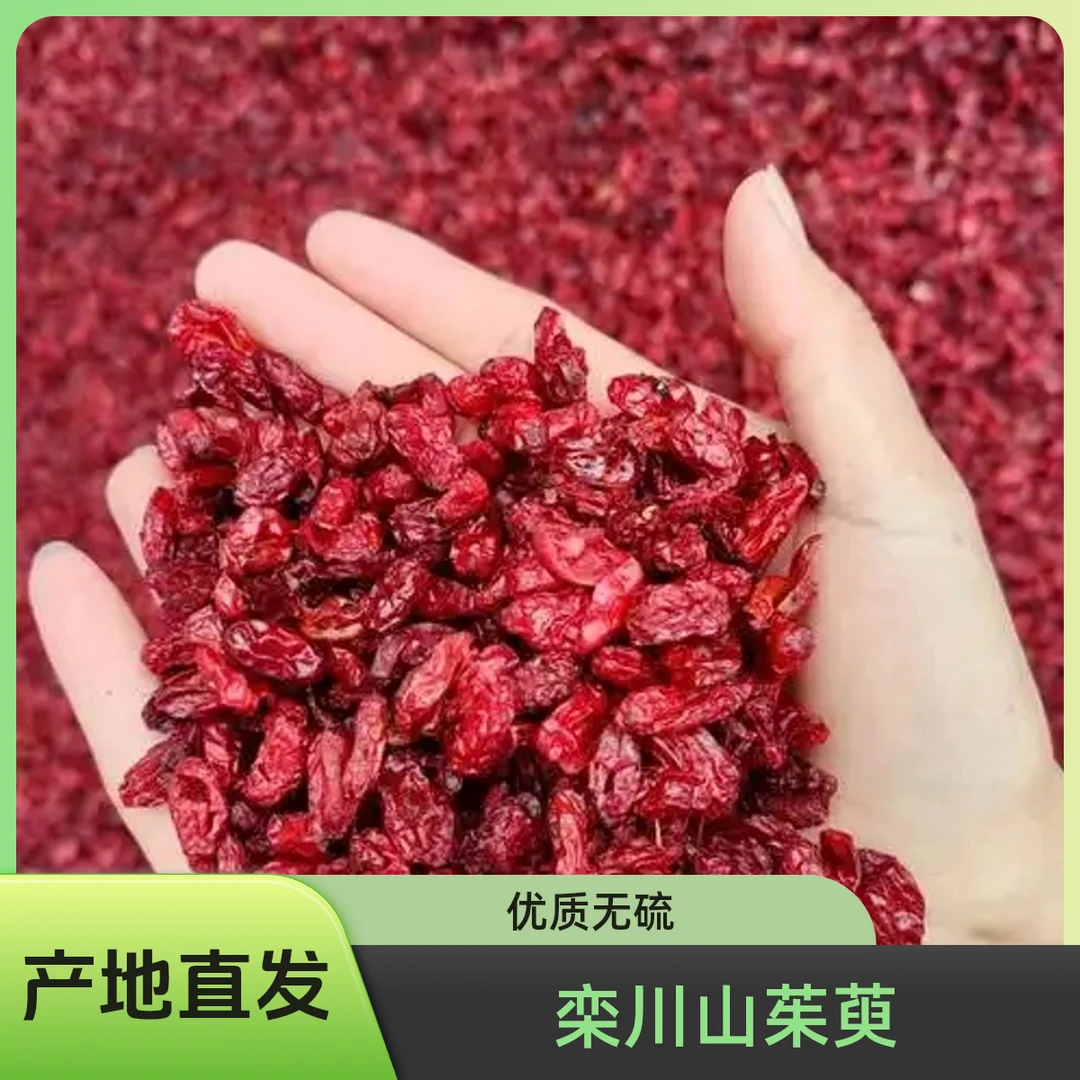 栾川山茱萸精选新货煮水泡茶 产地直发 无硫磺 高山野生