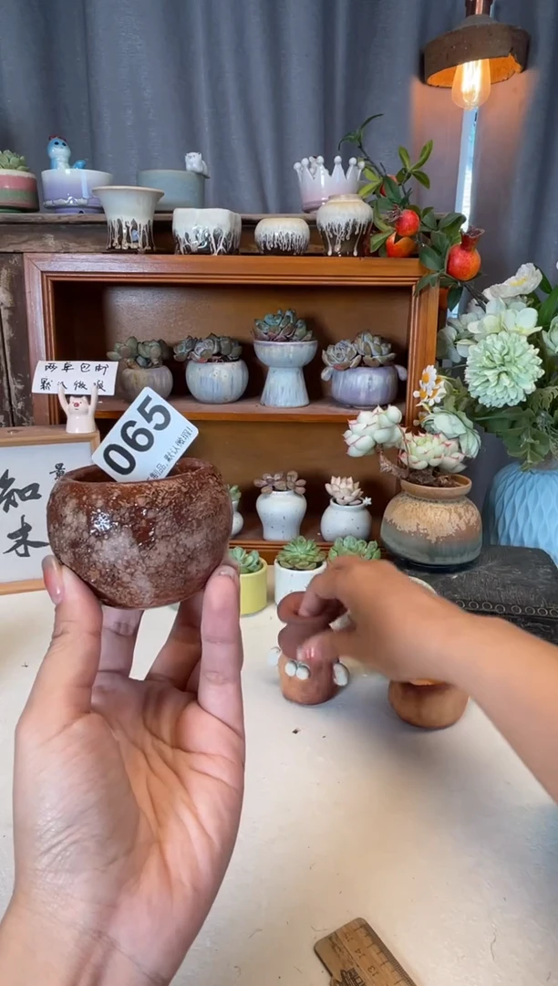 瓷片065知木小芳花盆