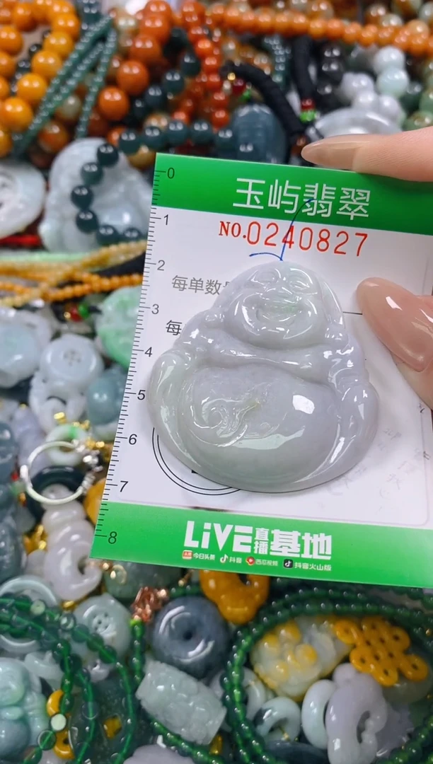 颈饰未镶嵌翡翠闪购0240827