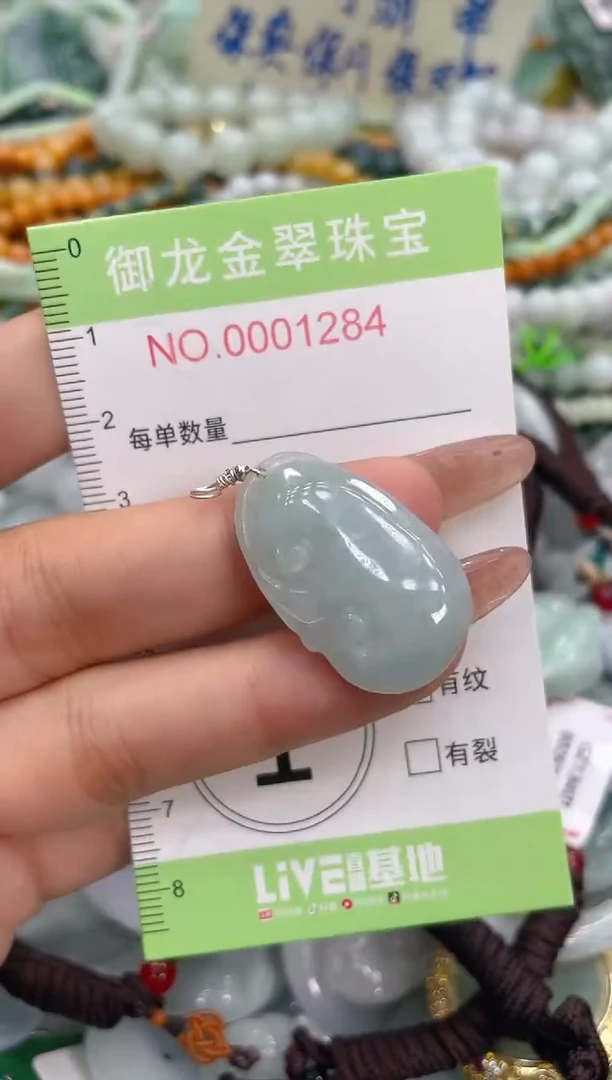 颈饰未镶嵌翡翠016