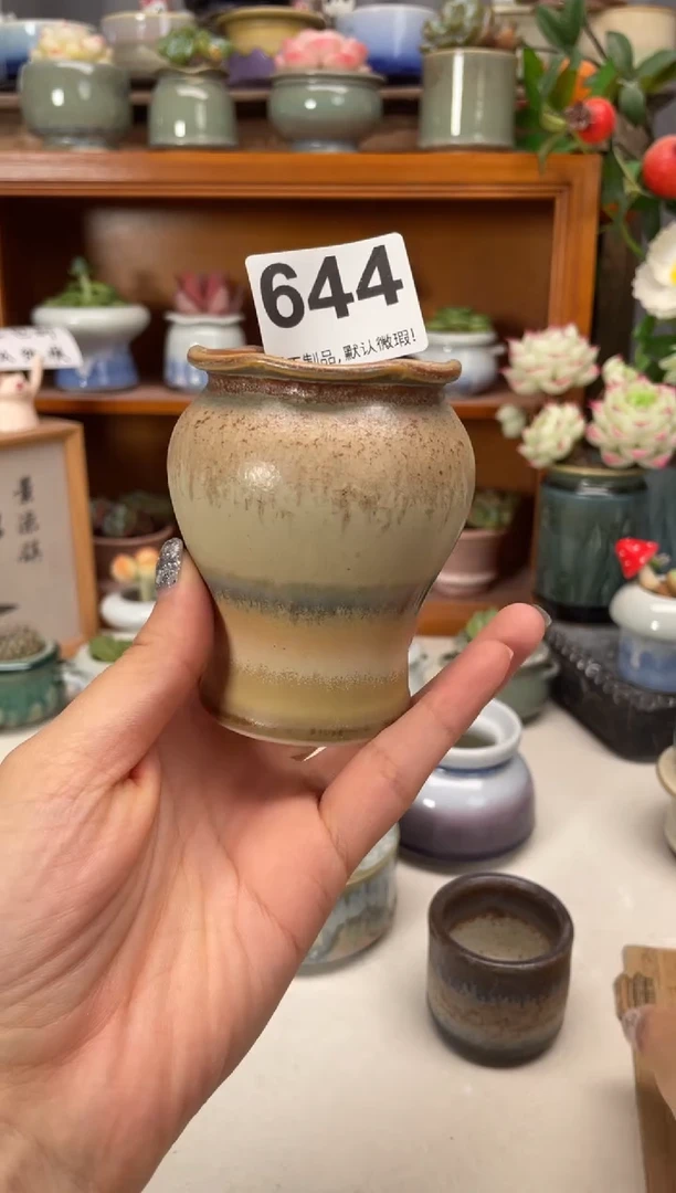 瓷片644知木花盆小芳