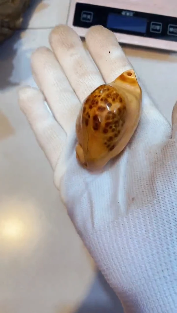 柏木（崖柏）1北太行崖柏陈化手把件手串