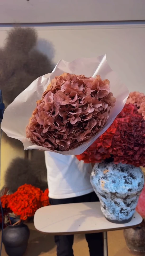 99 山前小麦 · 永生大叶绣球漂色1枝咖色