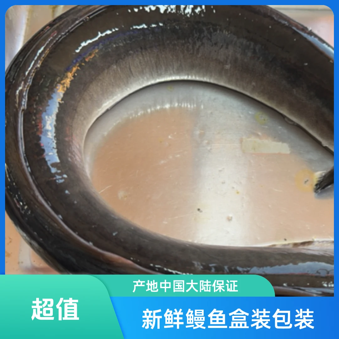 【东胜同城送】鳗鱼