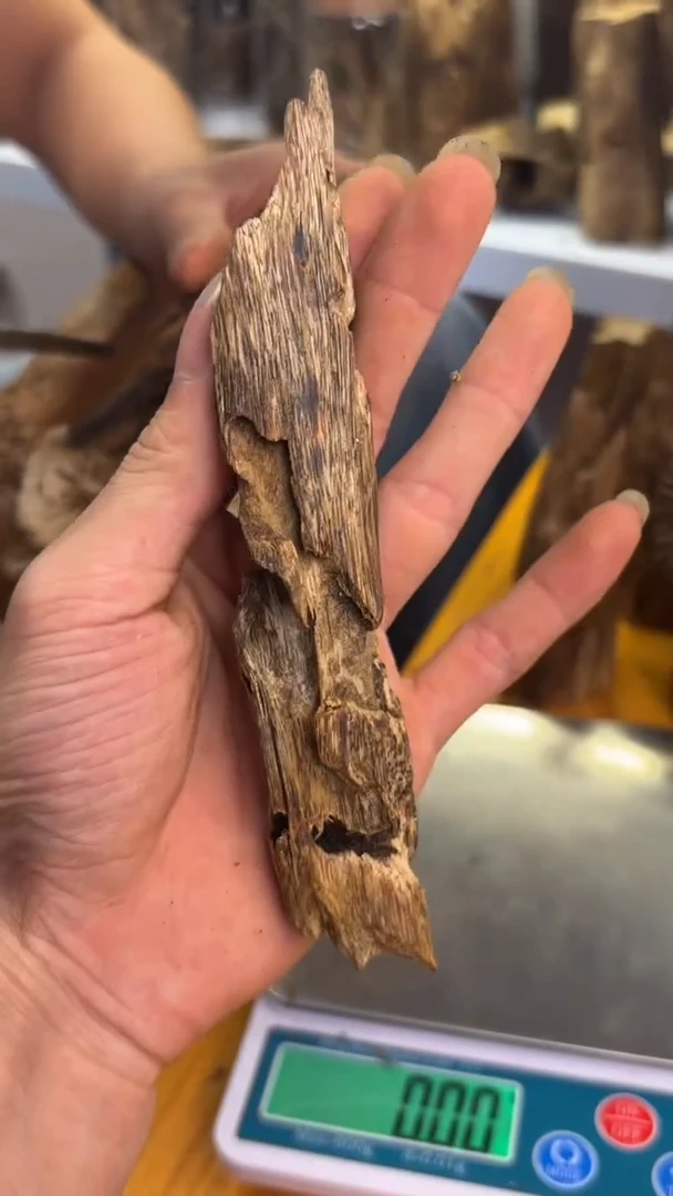 沉香碎屑沉香木天然虫漏16克