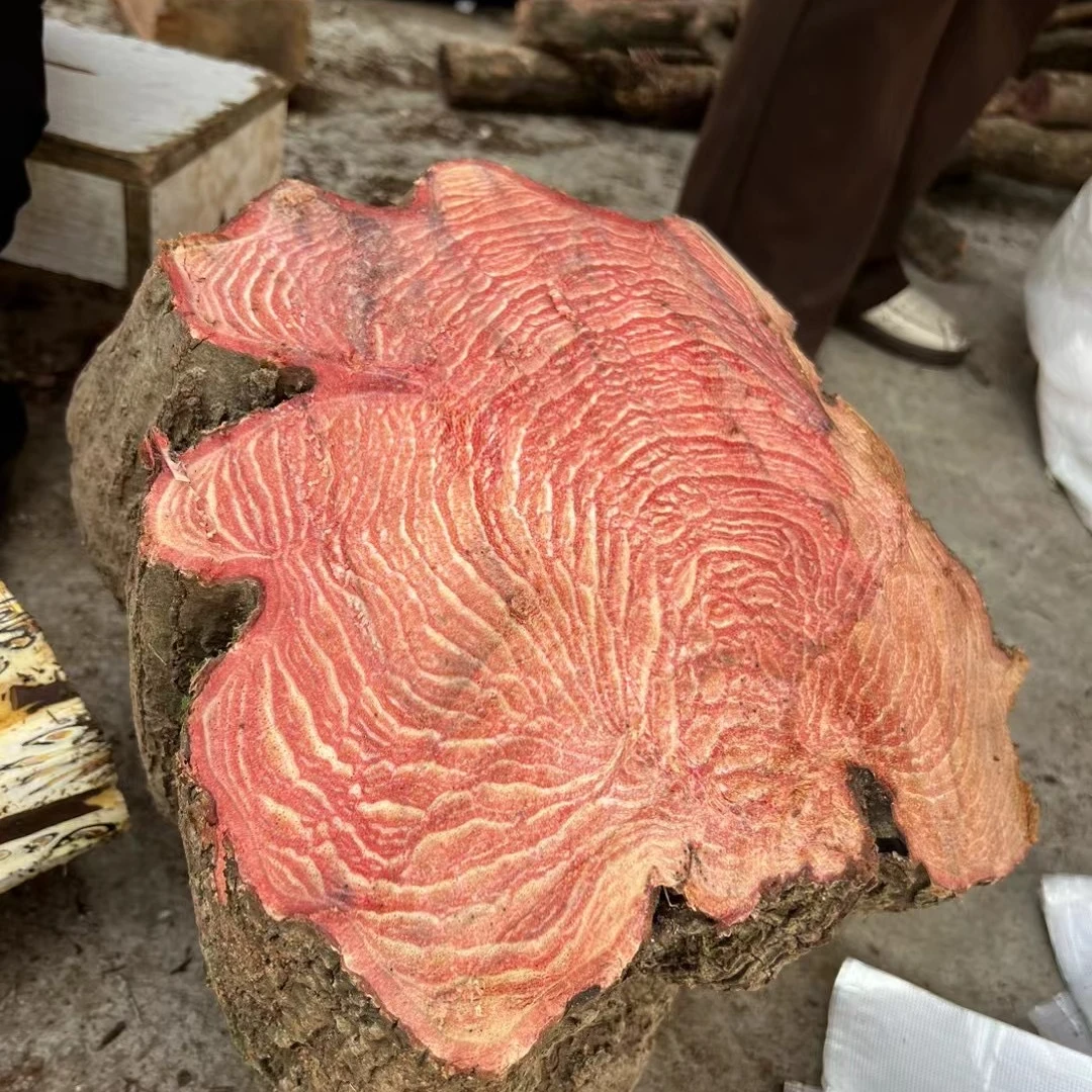 山里土特产【过江龙 藤】