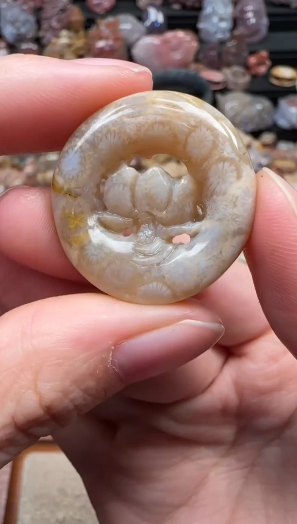 颈饰未镶嵌硅化珊瑚（珊瑚玉）712