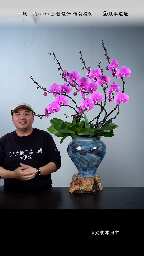 【闪购商品】062号链接【一物一拍】艺术盆景