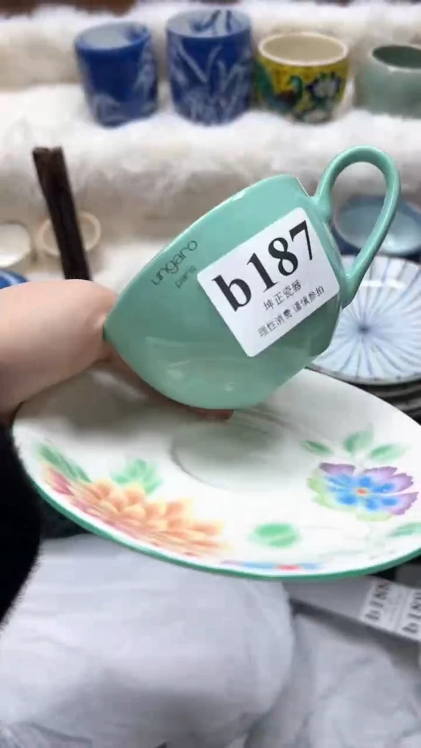 【闪购商品】瓷片          b187