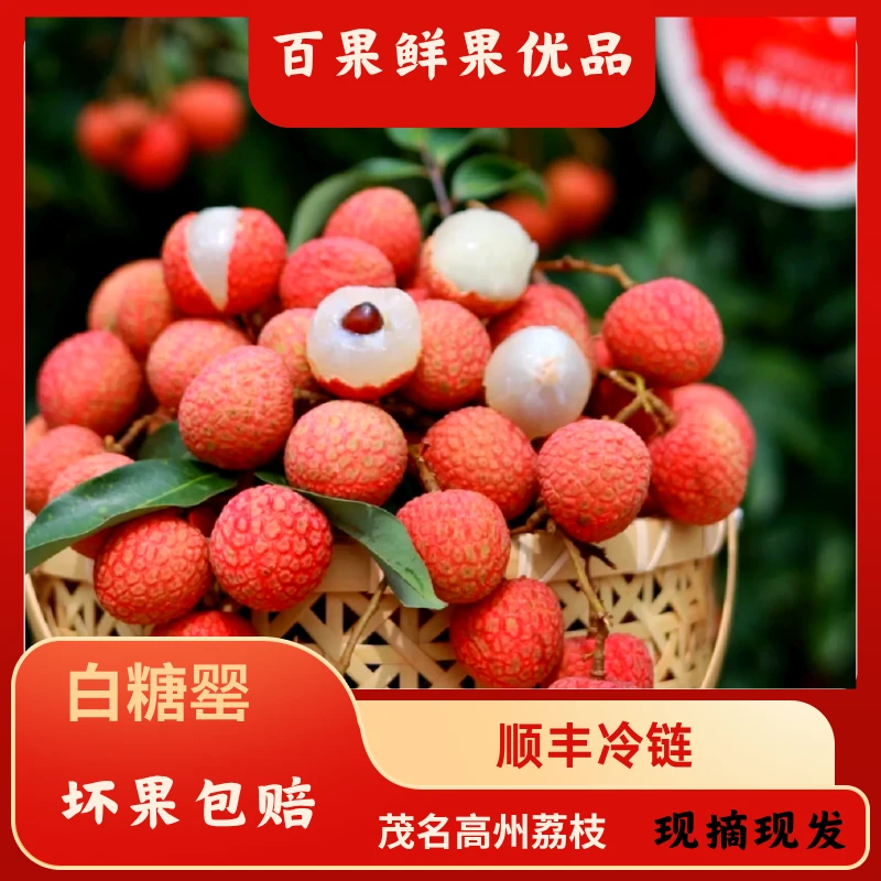 【顺丰冷链包邮】广东茂名高州白糖罂荔枝新鲜采摘现发原产地直发