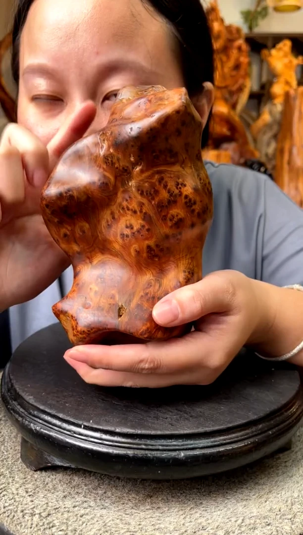 柏木（崖柏）5296859286528965296859268