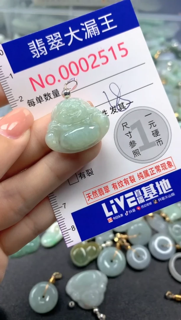 颈饰未镶嵌翡翠2515